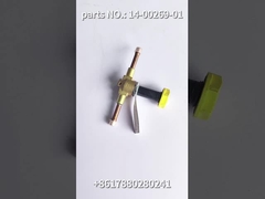 14-00269-01 klep van drager de originele vervangstukken, solenoïde voor het koelsysteem SP van de vrachtwagenijskast