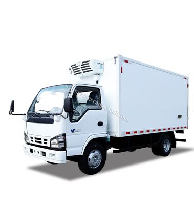 Isuzu 100p Japan Brand Truck chassis met 4,1 meter lange koelbox met THERMO KING koelinstallaties RV380V 4X2 Mini 3tons 2 Ton Freezer Koeltruck