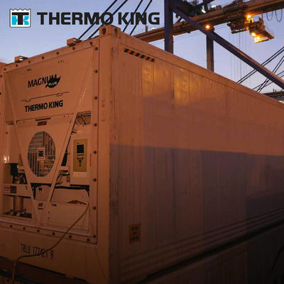 MP4000 THERMO KING Container Koelunit Magnum Plus