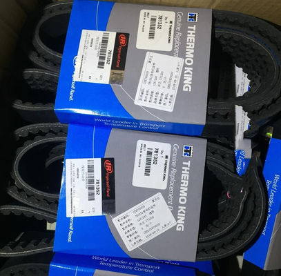 Motorgordel 781352 Thermo King Onderdelen voor TS 300\
