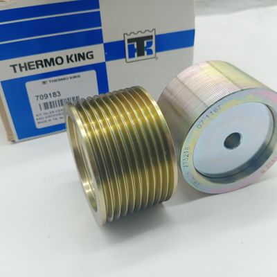 TS16949 thermokoning Refrigeration Units 709183 Riemspanner
