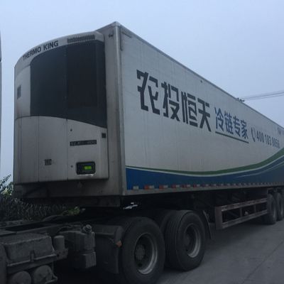 Thermo King 0 Celsius SLXI 300 Vriesruimte voor het koelen van voedsel